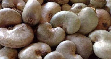  Raw Cashew Nuts 